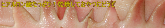 ヒアルロン酸たっぷり！乾燥しておやつにどうぞ
