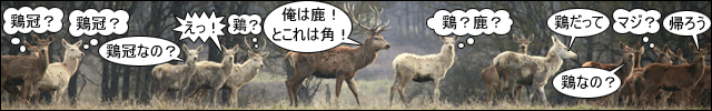 鹿