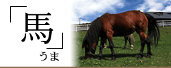 馬